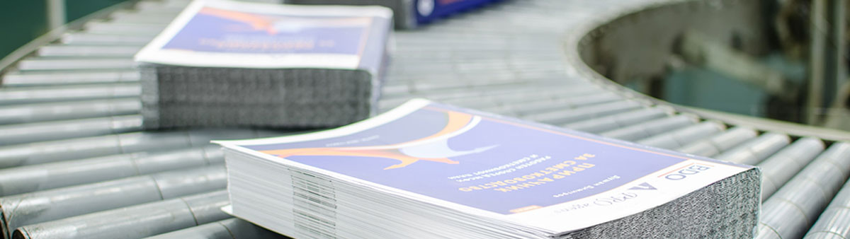 Papel Editoriales